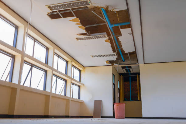 Best Flood restoration services  in Desloge, MO