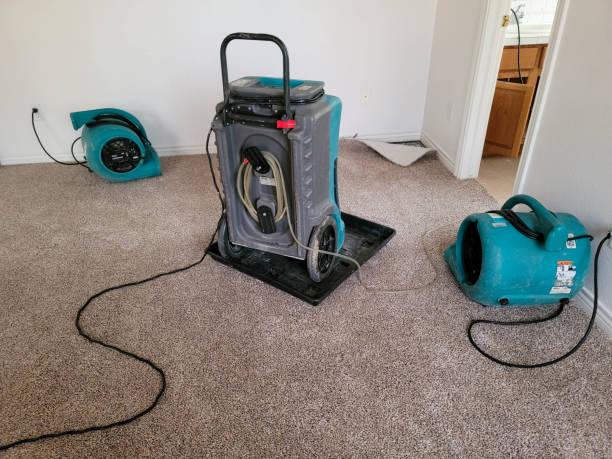 Best Ceiling water damage repair  in Desloge, MO