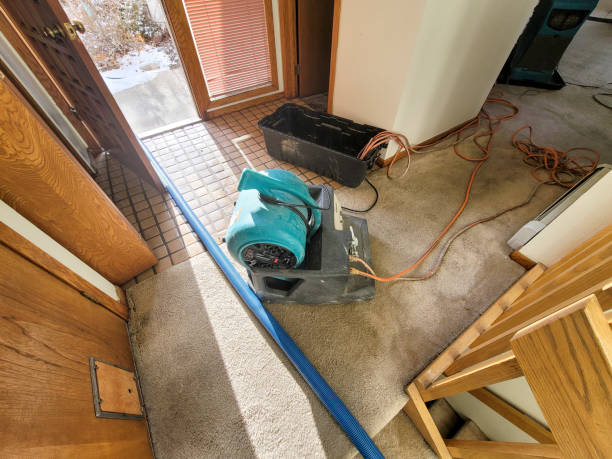 Best Water damage restoration cost  in Desloge, MO