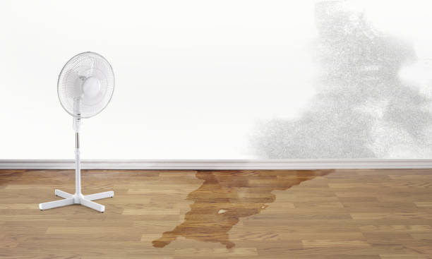 Best Basement water damage restoration  in Desloge, MO