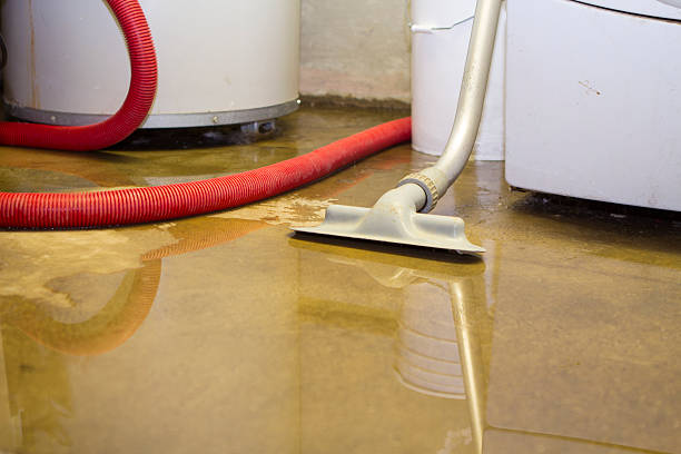 Best Fire Damage Restoration  in Desloge, MO