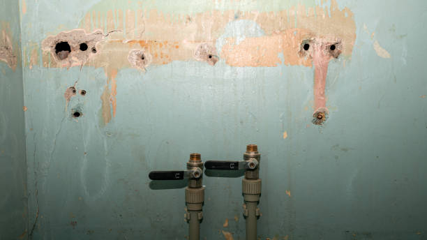 Best Residential water damage restoration  in Desloge, MO