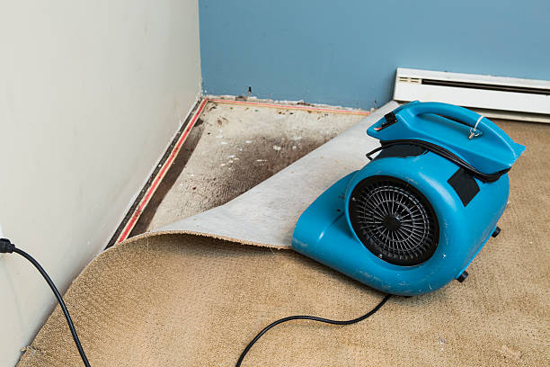Best Professional water damage repair  in Desloge, MO